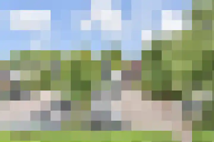 Wingerdpark 52 Zoetermeer thumbnail 27