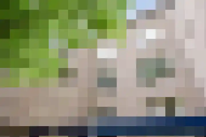 Wingerdpark 52 Zoetermeer thumbnail 30