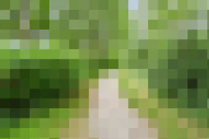 Wingerdpark 52 Zoetermeer thumbnail 31
