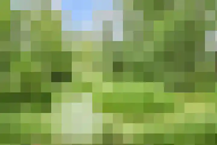 Wingerdpark 52 Zoetermeer thumbnail 32