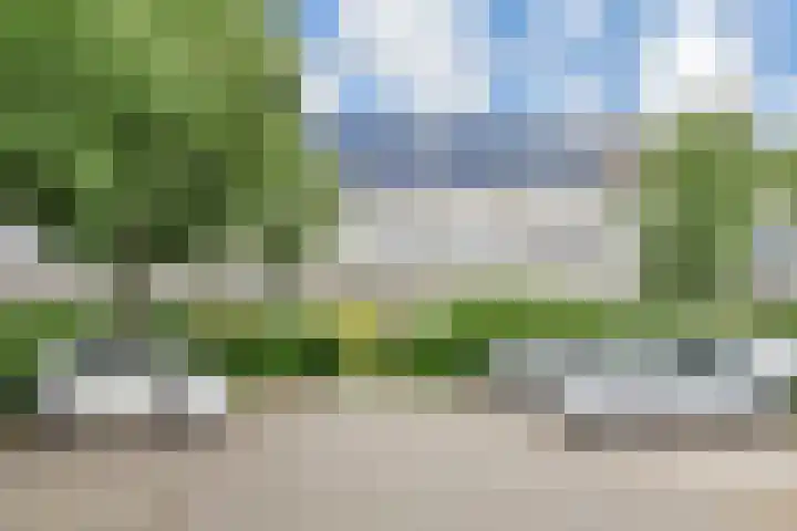 Wingerdpark 52 Zoetermeer thumbnail 33