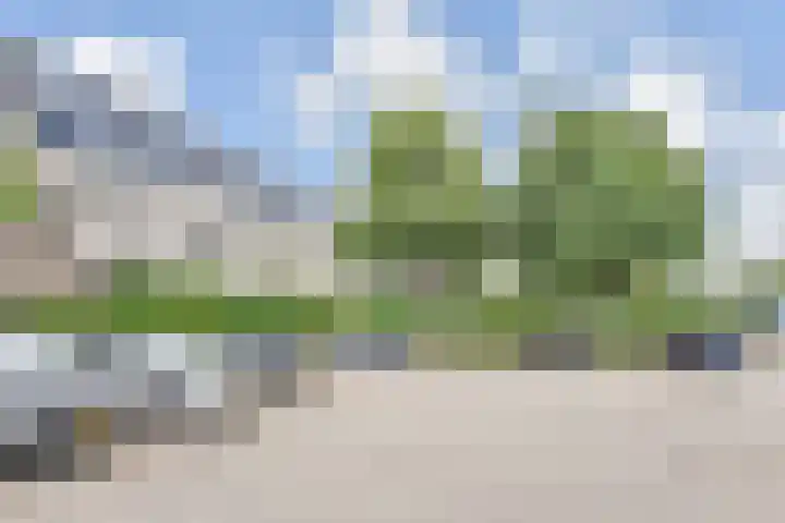 Wingerdpark 52 Zoetermeer thumbnail 34