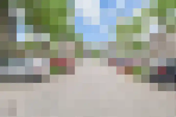 Wingerdpark 52 Zoetermeer thumbnail 35