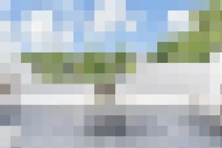 Wingerdpark 52 Zoetermeer thumbnail 4