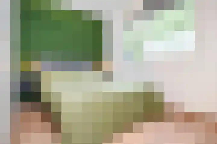 Wingerdpark 52 Zoetermeer thumbnail 7