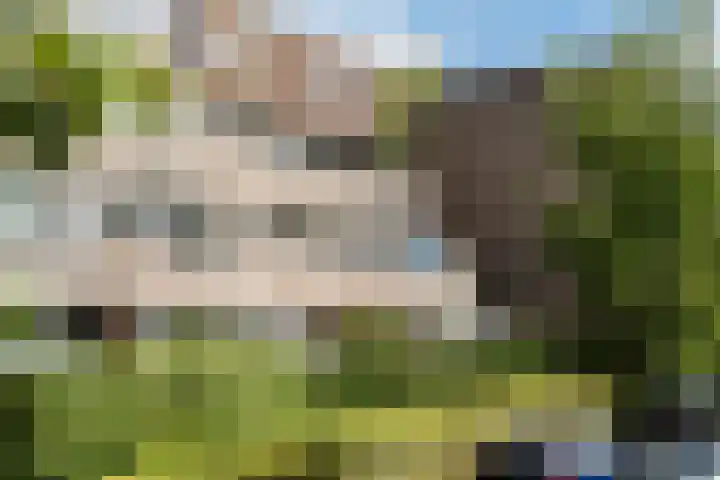 Wingerdpark 62 Zoetermeer thumbnail 22