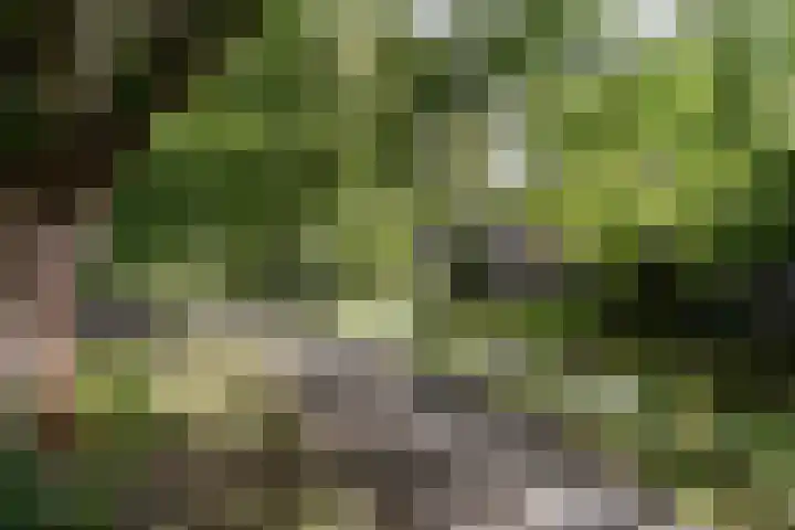 Wingerdpark 62 Zoetermeer thumbnail 23