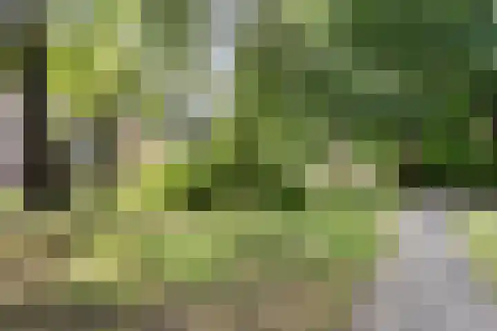 Wingerdpark 62 Zoetermeer thumbnail 24