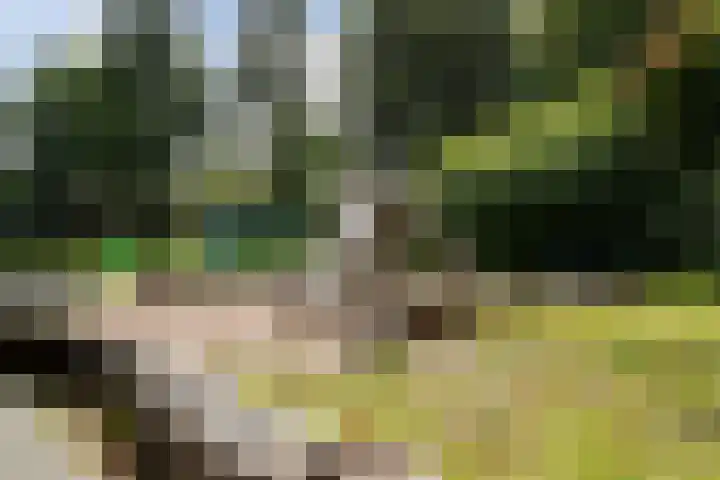 Wingerdpark 62 Zoetermeer thumbnail 25