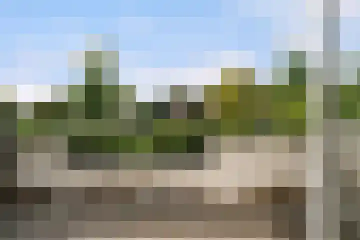 Wingerdpark 62 Zoetermeer thumbnail 6