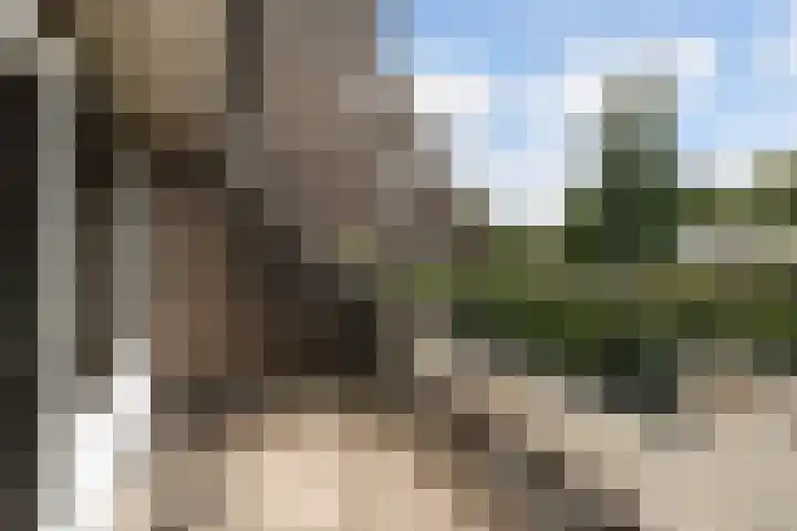 Wingerdpark 62 Zoetermeer thumbnail 7