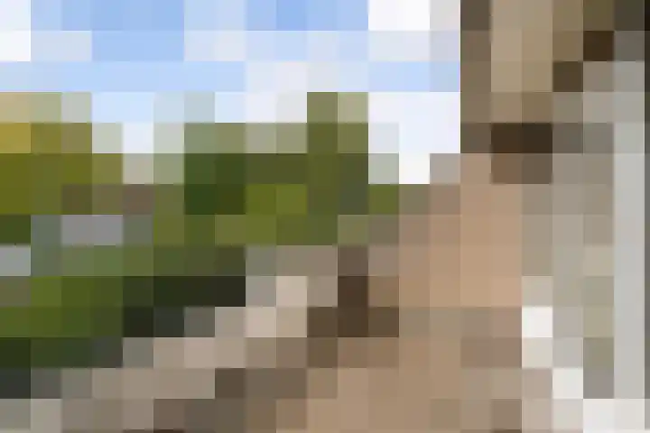 Wingerdpark 62 Zoetermeer thumbnail 8