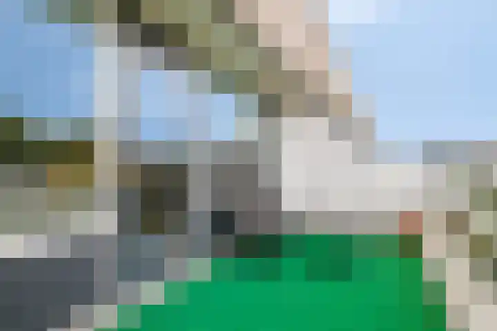 Wingerdpark 76 Zoetermeer thumbnail 10