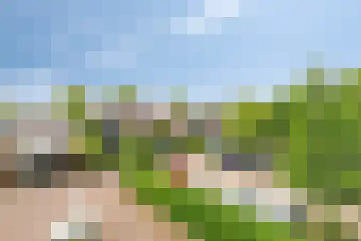 Wingerdpark 76 Zoetermeer thumbnail 11