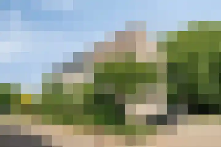 Wingerdpark 76 Zoetermeer thumbnail 19