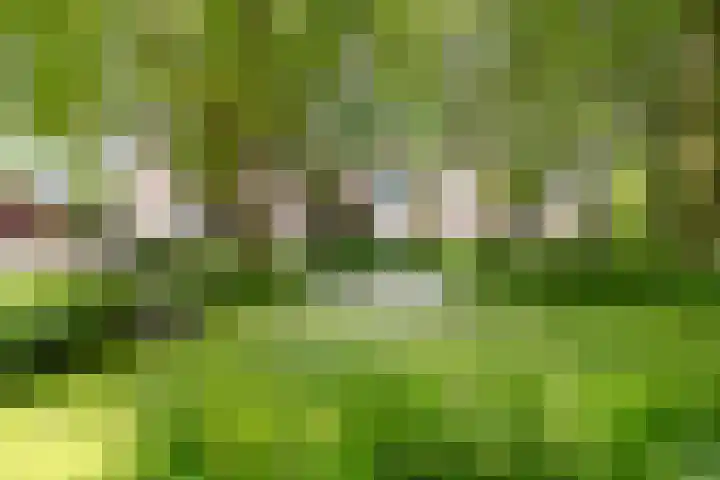 Wingerdpark 76 Zoetermeer thumbnail 20