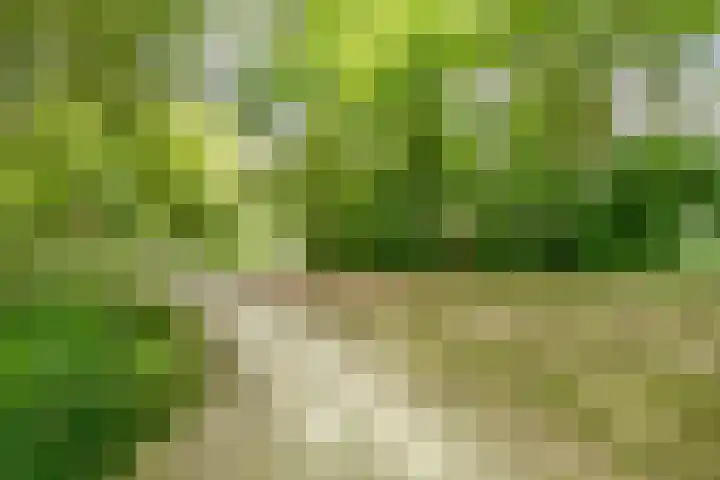 Wingerdpark 76 Zoetermeer thumbnail 21