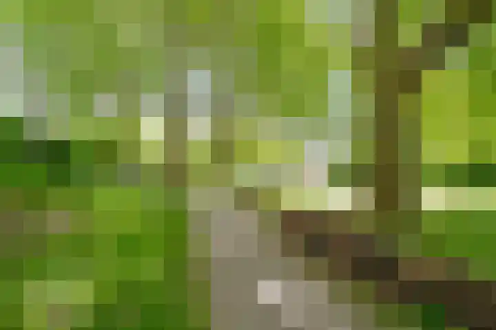 Wingerdpark 76 Zoetermeer thumbnail 22