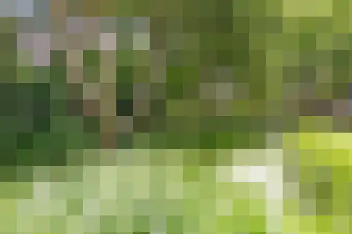 Wingerdpark 76 Zoetermeer thumbnail 23