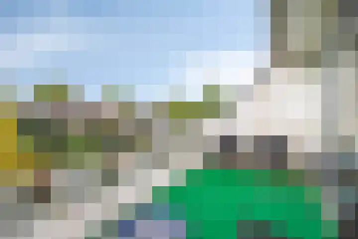 Wingerdpark 76 Zoetermeer thumbnail 9