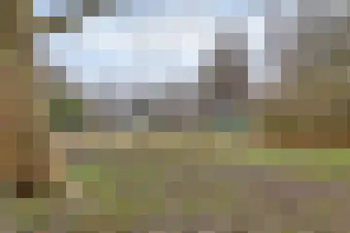Wingerdpark 78 Zoetermeer thumbnail 45