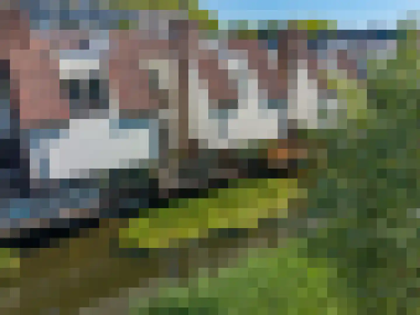 Wingerdpark 89 Zoetermeer thumbnail 34