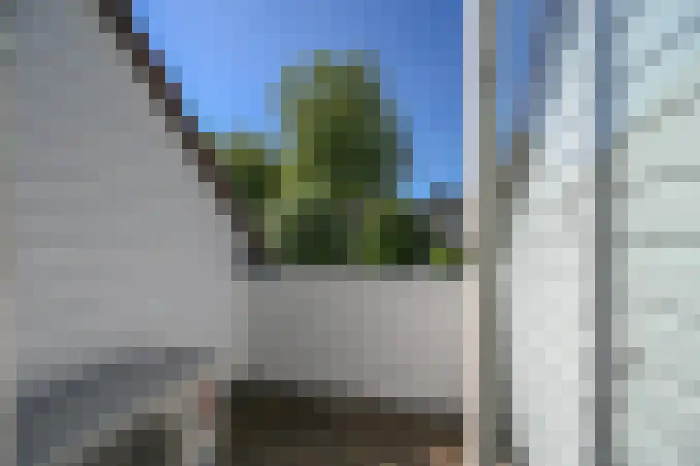Wingerdpark 89 Zoetermeer thumbnail 38