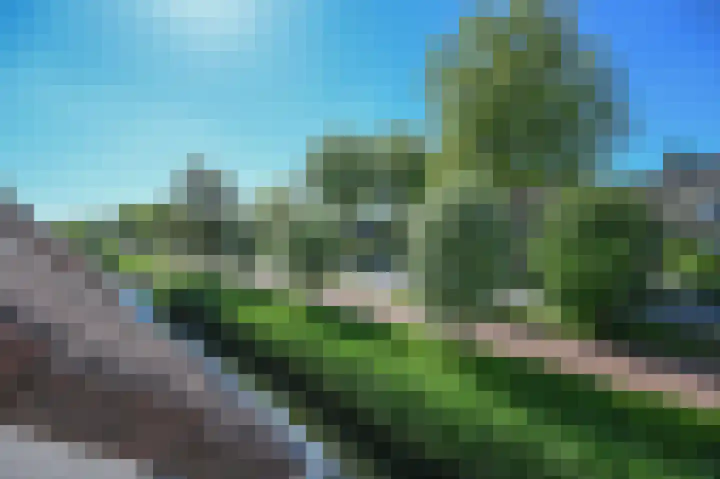 Wingerdpark 89 Zoetermeer thumbnail 40