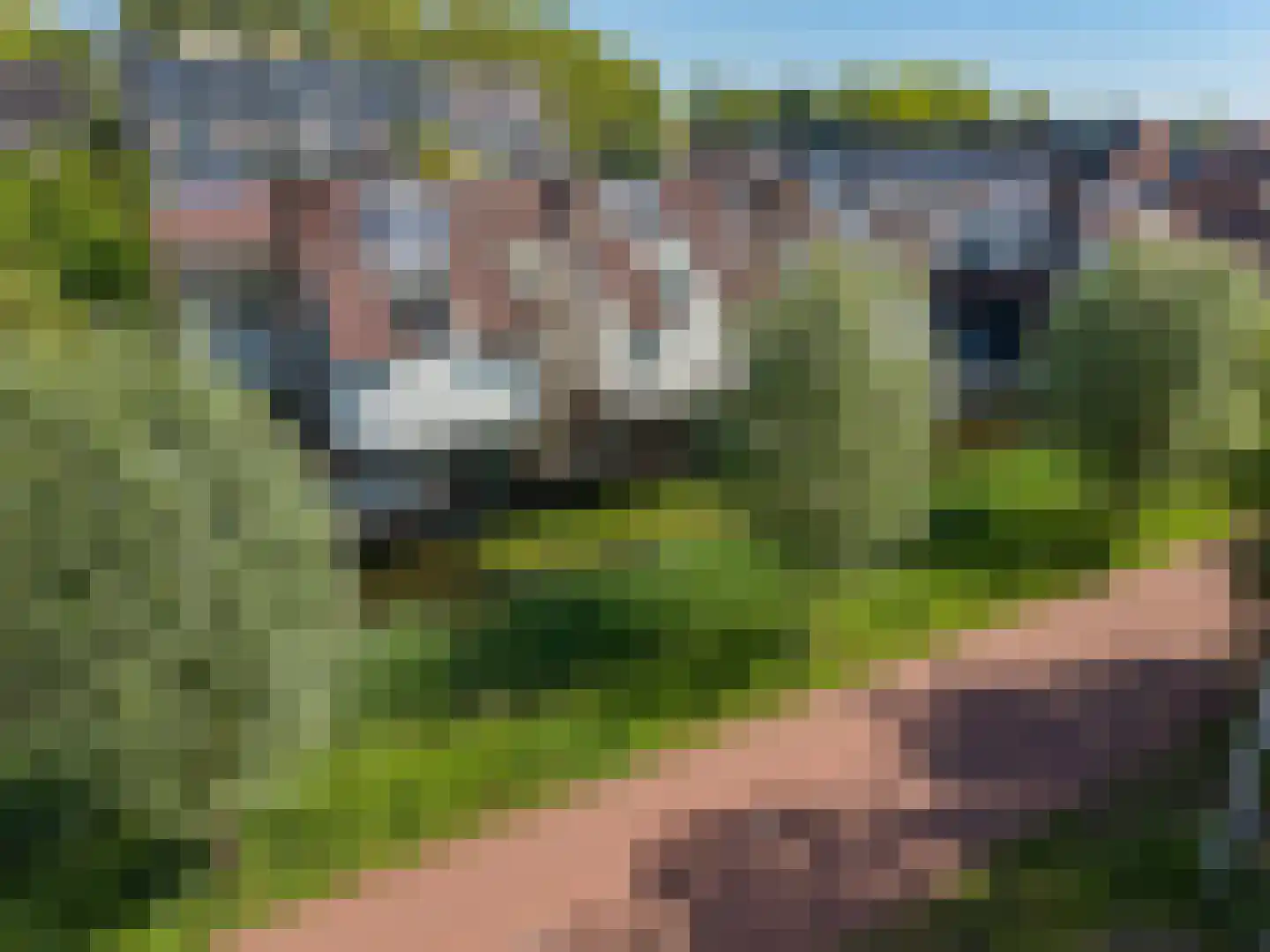 Wingerdpark 89 Zoetermeer thumbnail 64