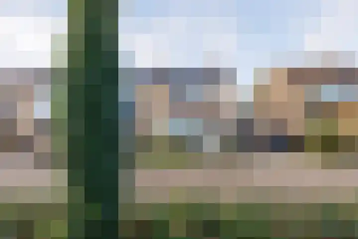 Wingerdstraat 18 Beuningen Gld thumbnail 47