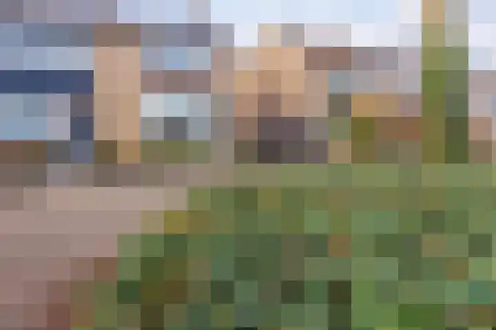Wingerdstraat 18 Beuningen Gld thumbnail 52