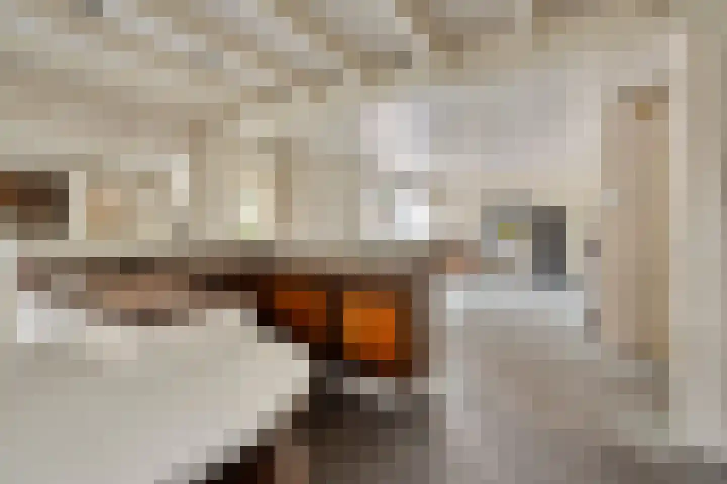 Wingerdstraat 2 Beuningen Gld thumbnail 25