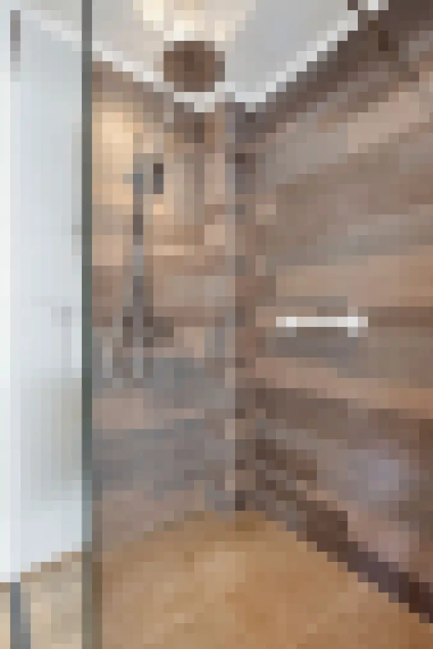 Wingerdstraat 2 Beuningen Gld thumbnail 38