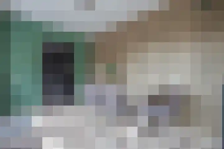 Wingerdstraat 32 Heythuysen thumbnail 4