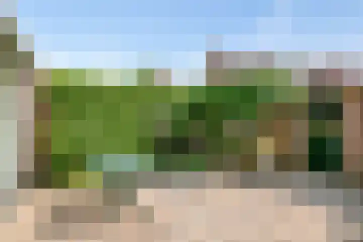 Wingerdstraat 35 Best thumbnail 25