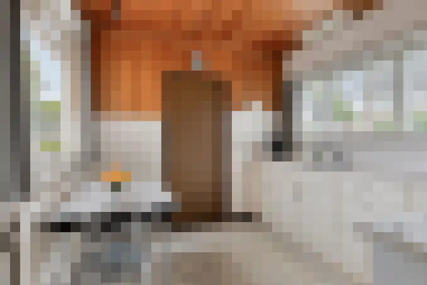 Wingerdstraat 42 Best thumbnail 15