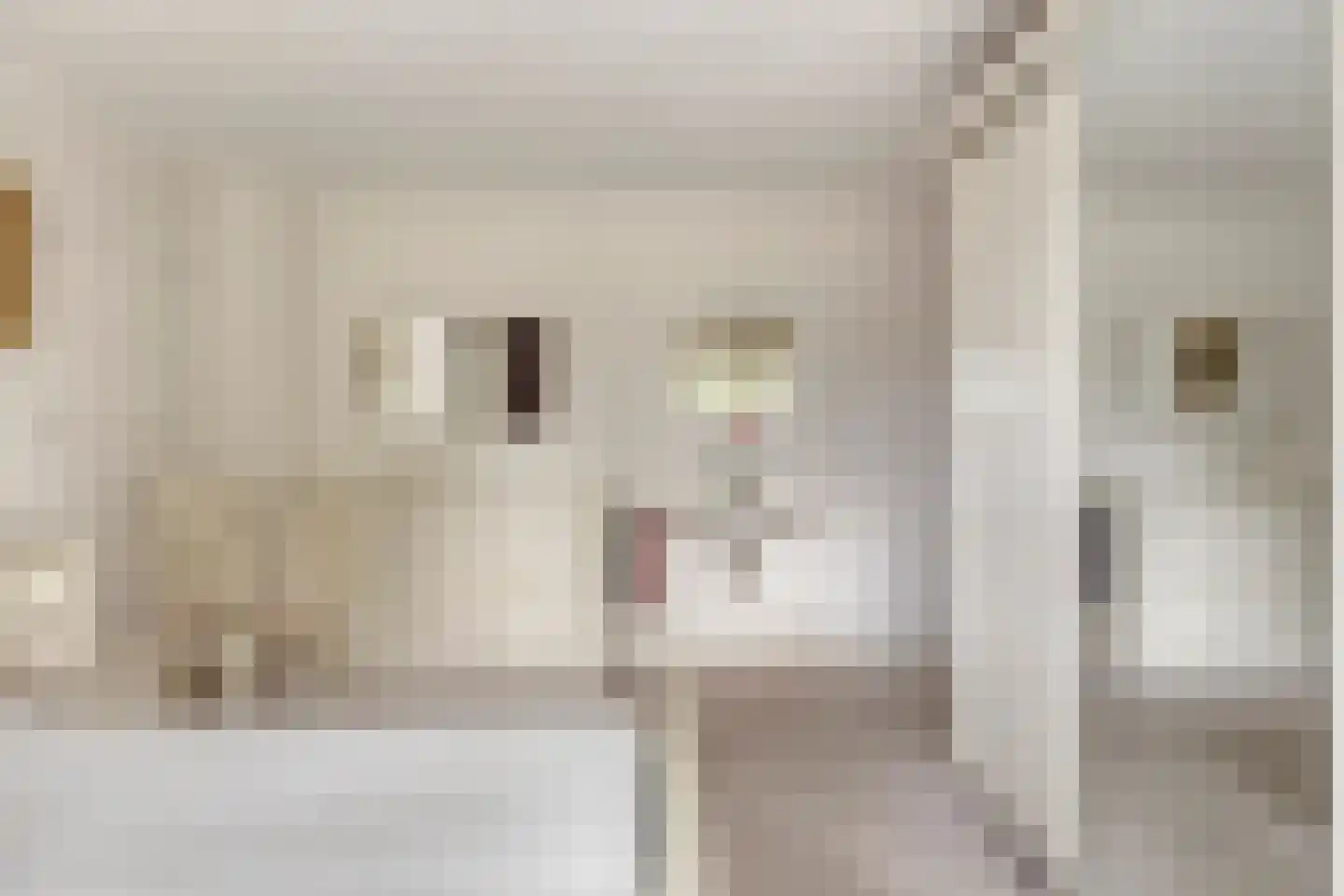 Wingerdstraat 42 Best thumbnail 22