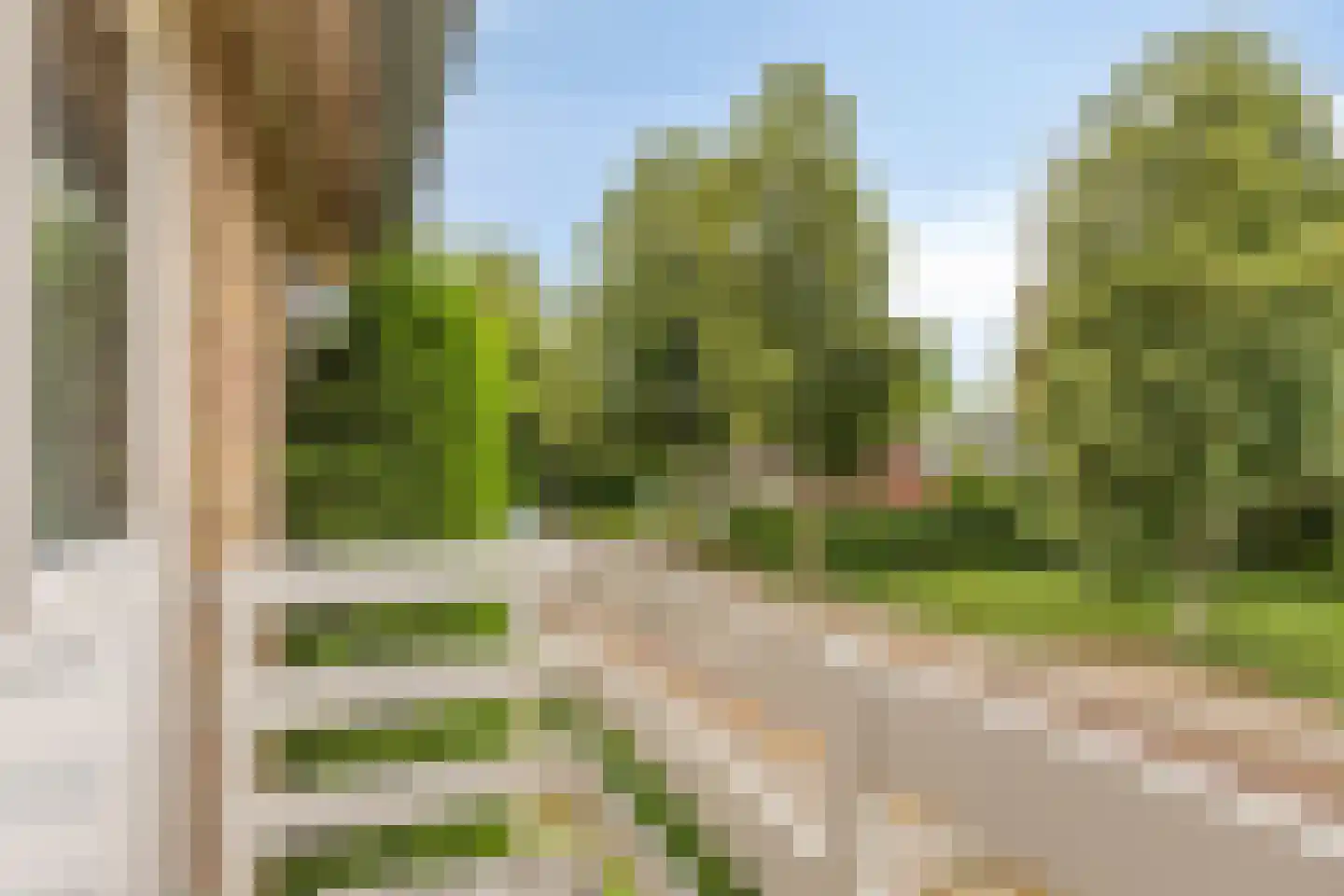 Wingerdstraat 42 Best thumbnail 23