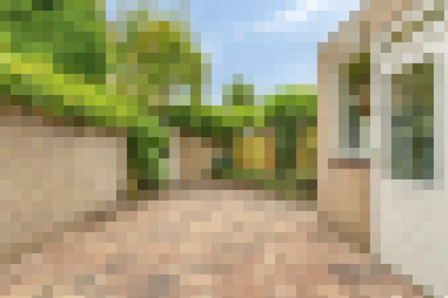 Wingerdstraat 42 Best thumbnail 35