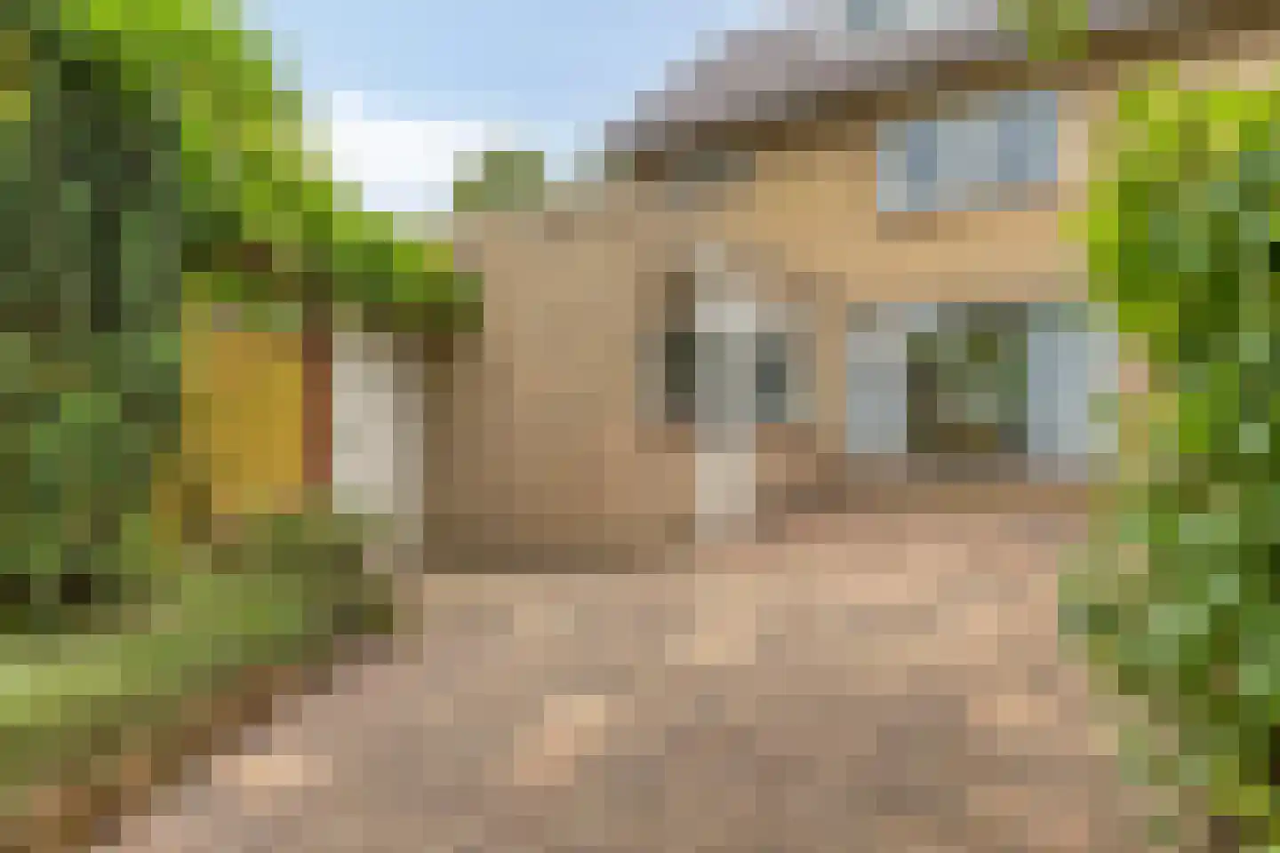 Wingerdstraat 42 Best thumbnail 37