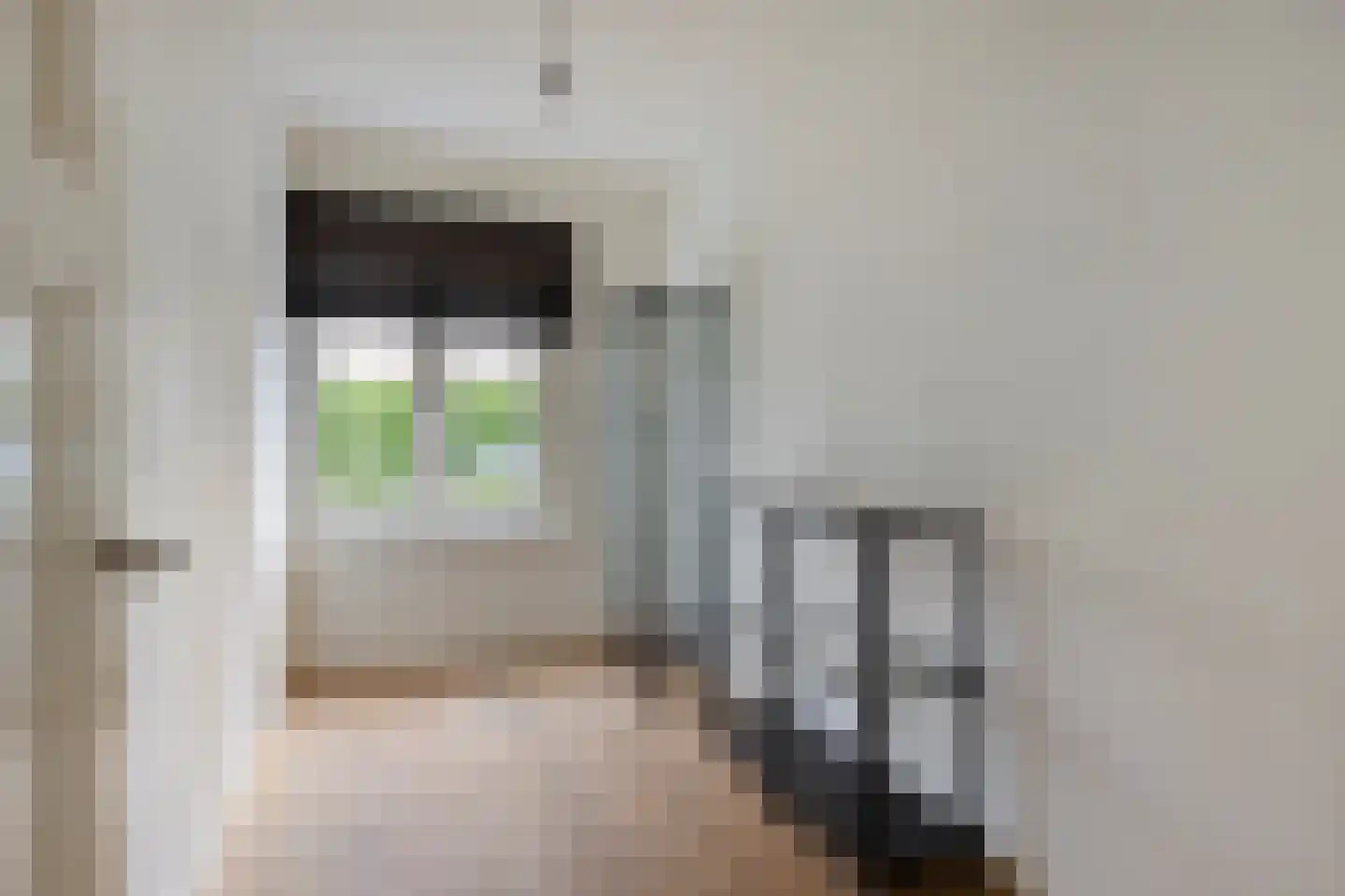 Wingerdstraat 9 Den Haag thumbnail 13