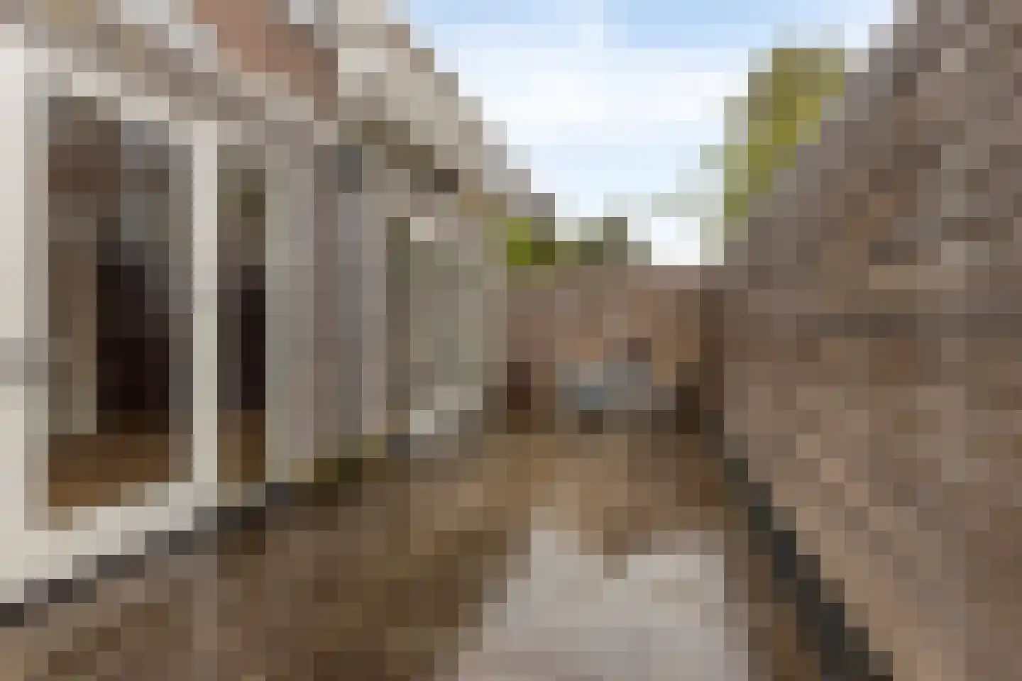 Wingerdstraat 9 Den Haag thumbnail 7