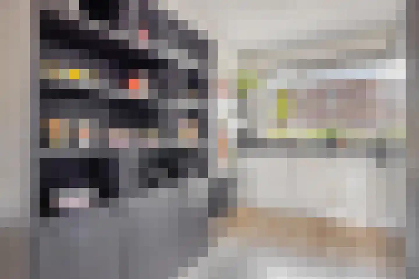 Wingerdwal 13 Emmen thumbnail 11