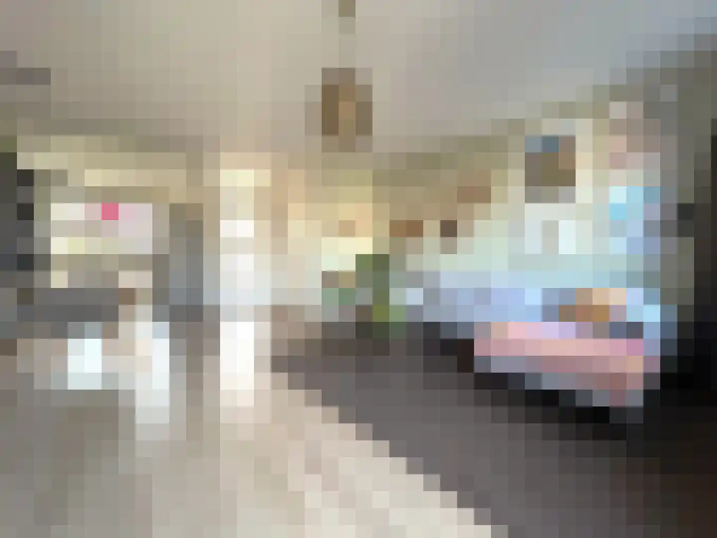 Wingerdwal 13 Emmen thumbnail 15