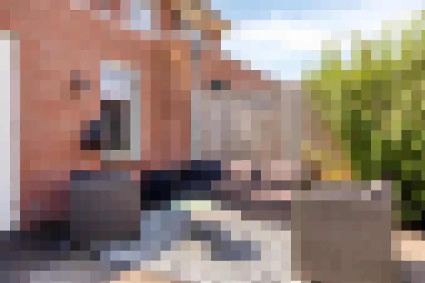 Wingerdwal 13 Emmen thumbnail 30
