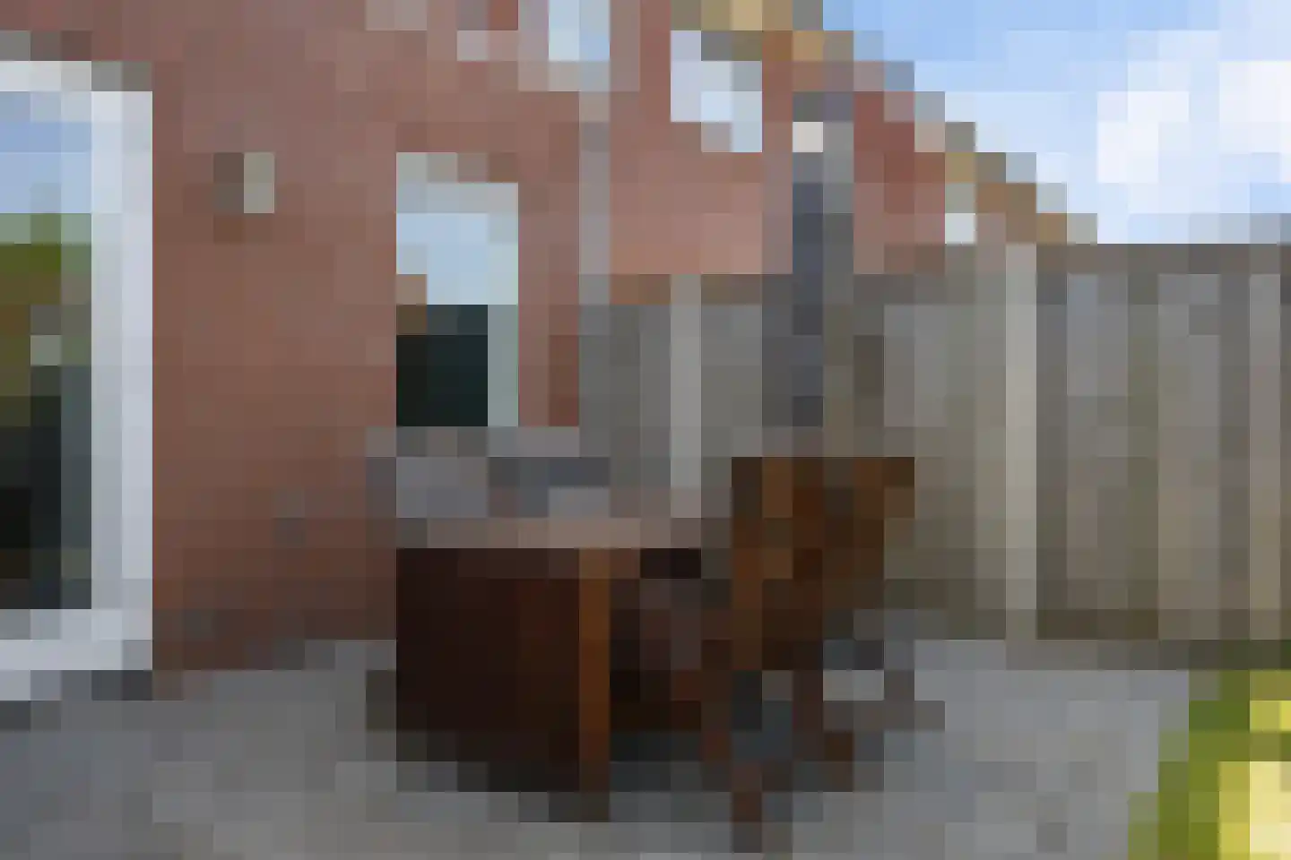 Wingerdwal 9 Emmen thumbnail 36