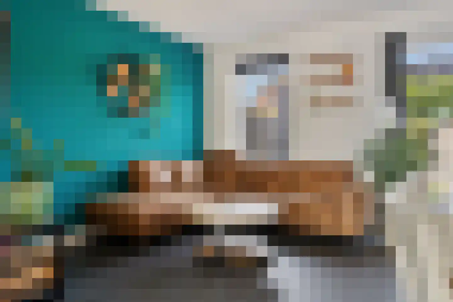 Wingerdwal 9 Emmen thumbnail 9