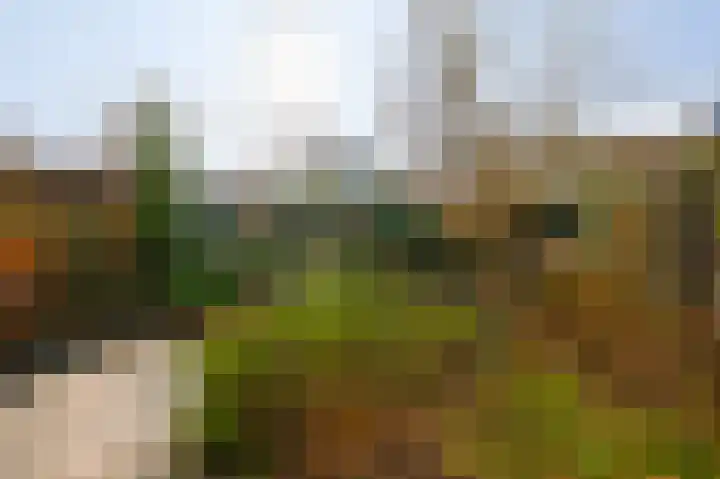Wingerdweg 233 Amsterdam thumbnail 17