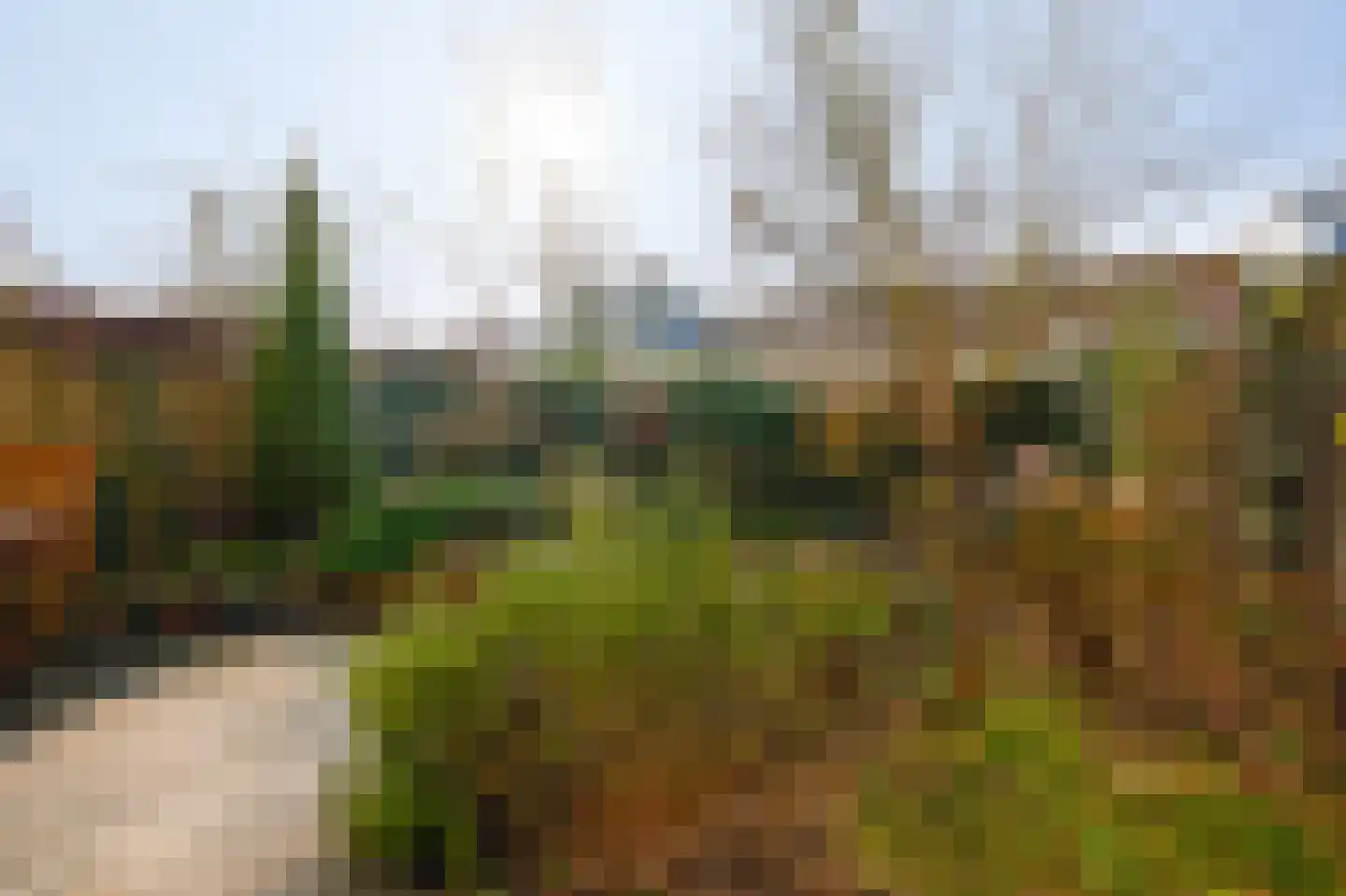 Wingerdweg 233 Amsterdam thumbnail 17