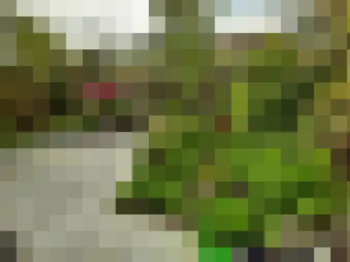 Wingerdweg 233 Amsterdam thumbnail 18
